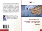 Yaser Kamgar - Modélisation géo-électrique (résistivité) des cavités avec différents réseaux