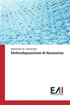 Abderahma Ali, Abderahman Ali, Saliema Baha - Elettrodeposizione di Nanowires