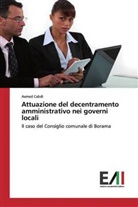 Axmed Cabdi - Attuazione del decentramento amministrativo nei governi locali