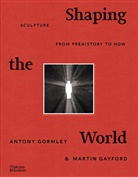 Martin Gayford, Antony Gormely, Antony Gormley - Shaping the World