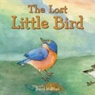 David McPhail, David M. McPhail, David McPhail, David M. McPhail - Lost Little Bird