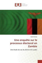 David Kaluba - Une enquête sur le processus électoral en Zambie