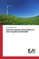 Gideon Ayuba Duvuna - Fonti di energia rinnovabile e il loro impatto ambientale