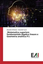 Alexande Akhmerov, Alexander Akhmerov, Alexander Tyurin - Matematica superiore fondamentale Algebra lineare e Geometria analitica P.I.