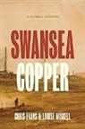 Chris Evans, Chris (University of South Wales) Evans, Chris (University of South Wales) Miskell Evans, Chris/ Miskell Evans, Evans Chris, Louise Miskell... - Swansea Copper