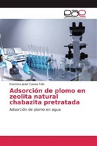 Francisco Javier Cuevas Felix - Adsorción de plomo en zeolita natural chabazita pretratada