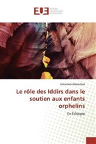 Getachew Alebachew - Le rôle des Iddirs dans le soutien aux enfants orphelins