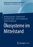 Wolfgan Becker, Wolfgang Becker, Alexandra Fibitz, Felix Schuhknecht, Meike Stradtmann, Patric Ulrich... - Ökosysteme im Mittelstand