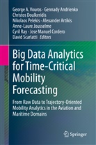 Gennad Andrienko, Gennady Andrienko, Alexander Artikis, Jose Manuel Cordero, Christos Doulkeridis, Christos Doulkeridis et al... - Big Data Analytics for Time-Critical Mobility Forecasting