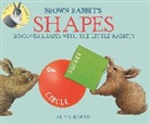Alan Baker - Brown Rabbit''s Shapes