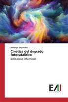 Nditange Shigwedha - Cinetica del degrado fotocatalitico