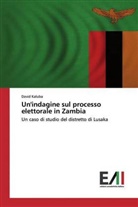 David Kaluba - Un'indagine sul processo elettorale in Zambia