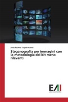 Rajesh Kumar, Sne Rachna, Sneh Rachna - Steganografia per immagini con la metodologia dei bit meno rilevanti