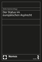 Stefa Salomon, Stefan Salomon - Der Status im europäischen Asylrecht
