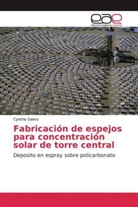 Cynthia Salero - Fabricación de espejos para concentración solar de torre central