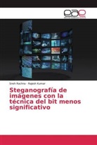 Rajesh Kumar, Sne Rachna, Sneh Rachna - Steganografía de imágenes con la técnica del bit menos significativo