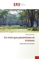 Jemitias Haruzivishe - Ce n'est que pessimisme et tristesse