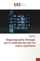 Rajesh Kumar, Sne Rachna, Sneh Rachna - Stéganographie d'images par la méthode des bits les moins signifiants