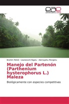 Ibrahi Mehdi, Ibrahim Mehdi, Alemay Mengistu, Alemayehu Mengistu, Lisanewor Nigatu, Lisanework Nigatu - Manejo del Partenón (Parthenium hysterophorus L.) Maleza