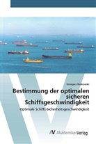 Grzegorz Rutkowski - Bestimmung der optimalen sicheren Schiffsgeschwindigkeit