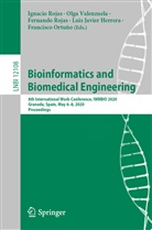 Luis Javier Herrera, Francisco Ortuño, Fernando Rojas, Ignacio Rojas, Fernando Rojas et al, Olg Valenzuela... - Bioinformatics and Biomedical Engineering