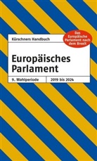 Andrea Holzapfel, Andreas Holzapfel - Kürschners Handbuch Europäisches Parlament 9. Wahlperiode