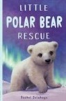Rachel Delahaye - Little Polar Bear Rescue
