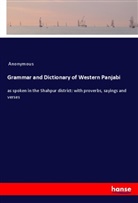Anonymous - Grammar and Dictionary of Western Panjabi