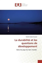Ibrahim Udale Hussaini - La durabilité et les questions de développement