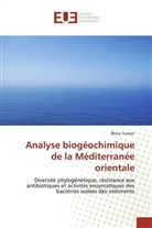 ¿Lknur Tunçer, Ilknur Tunçer - Analyse biogéochimique de la Méditerranée orientale