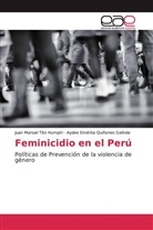 Aydee Quiñones Galindo, Aydee Emérita Quiñones Galindo, Juan Manue Tito Humpiri, Juan Manuel Tito Humpiri - Feminicidio en el Perú