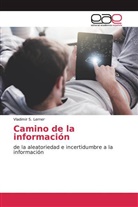 Vladimir S Lerner, Vladimir S. Lerner - Camino de la información