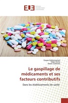 Tefer Fenta, Teferi Fenta, Esaya Gebremariam, Esayas Gebremariam, Dawit Teshome - Le gaspillage de médicaments et ses facteurs contributifs
