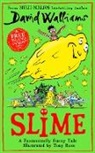 David Walliams, Tony Ross - Slime
