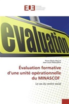 Pierre Mari Akeum, Pierre Marie Akeum, Jean-Louis Ndzoudom - Évaluation formative d'une unité opérationnelle du MINASCOF