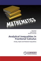 Saji Iqbal, Sajid Iqbal, Josip Pe¿ari¿, Josi Pecaric, Josip Pecaric, Zivorad Tomovski - Analytical Inequalities in Fractional Calculus