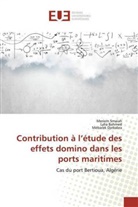 LYLI BAHMED, Lylia Bahmed, Mebarek Djebabra, Merie Smaiah, Meriem Smaiah - Contribution à l'étude des effets domino dans les ports maritimes