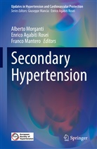 Enric Agabiti Rosei, Enrico Agabiti Rosei, Franco Mantero, Alberto Morganti - Secondary Hypertension