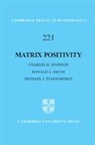 Johnson Ronald L. Smith Charles R. Johnson, Charles R Johnson, Charles R. Johnson, Charles R. (College of William and Mary Johnson, Charles R. Smith Johnson, Ronald L Smith... - Matrix Positivity