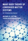 Michael G Cottam, Michael G. Cottam, Michael G. (University of Western Ontario) Cottam, Michael G. Haghshenasfard Cottam, Cottam Michael G., Zahra Haghshenasfard... - Many-Body Theory of Condensed Matter Systems