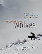 Danie Macnulty, Douglas W Smith, Douglas W Stahler Smith, Daniel Stahler, Daniel R Macnulty, Douglas W Smith... - Yellowstone Wolves