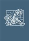 Thomas Nelson - Net Abide Bible Journal - Daniel, Paperback, Comfort Print