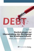 Zainul Kisman - Bankstrategie zur Überwindung des Rückgangs des Kreditwachstums