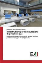 John Adomokhai Igimoh, Ayub John, Ayuba John - Infrastrutture per la misurazione di petrolio e gas