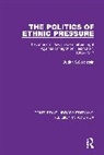 Judith Goldstein, Judith S Goldstein, Judith S. Goldstein, Goldstein Judith - Politics of Ethnic Pressure