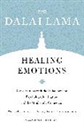 Richard Davidson, Richard J. Davidson, Daniel Goleman, H H the Fourteenth Dalai Lama, H.H. the Fourteenth Dalai Lama, K... - Healing Emotions