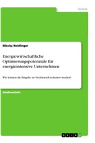 Nikolaj Neidlinger - Energiewirtschaftliche Optimierungspotenziale für energieintensive Unternehmen