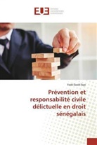 Fodé David Faye - Prévention et responsabilité civile délictuelle en droit sénégalais