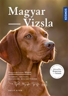 Philip Alsen - Magyar Vizsla