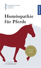 Ute Ochsenbauer - Homöopathie für Pferde
